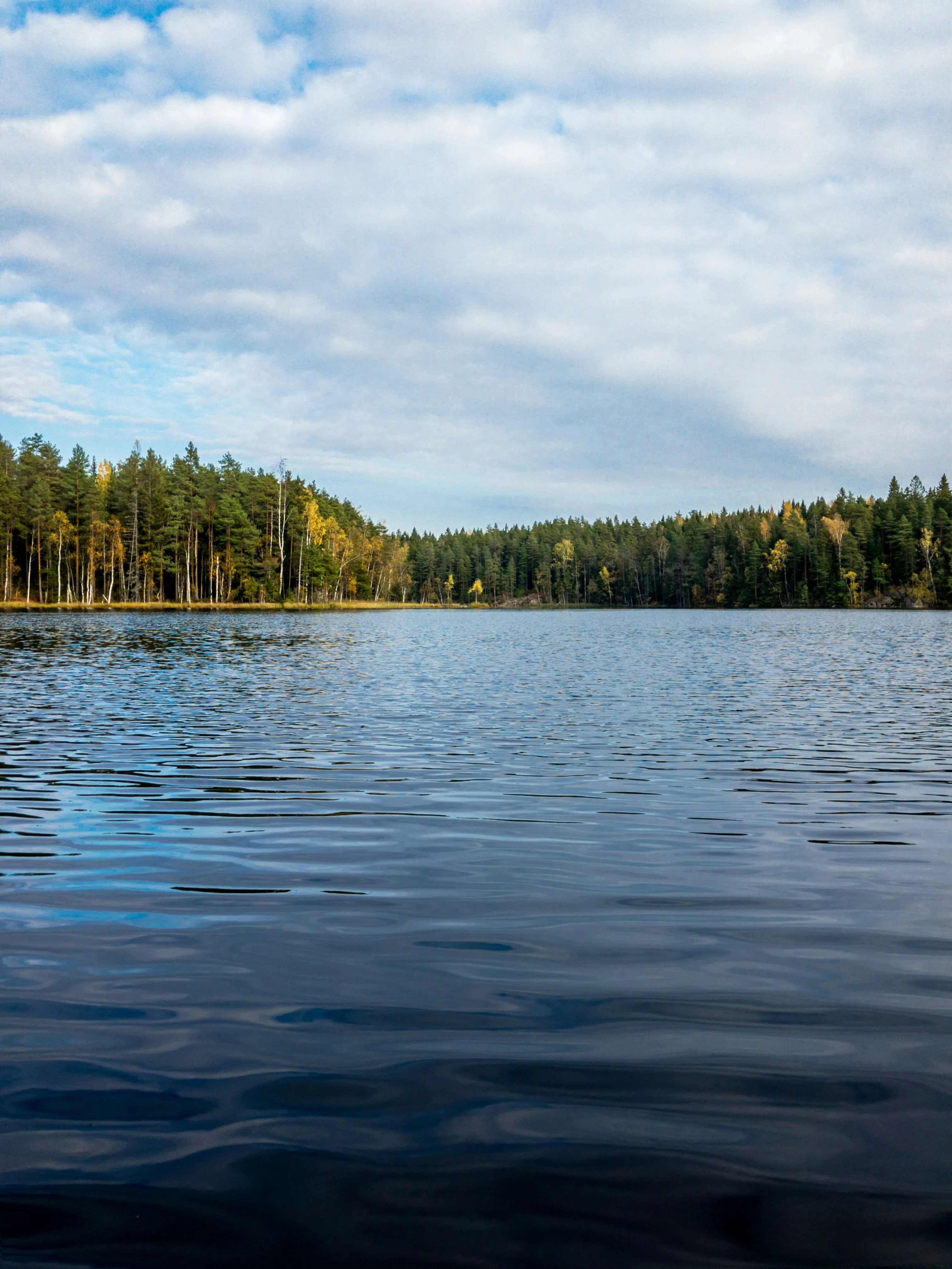 Suvasveden Kalatalousalue
